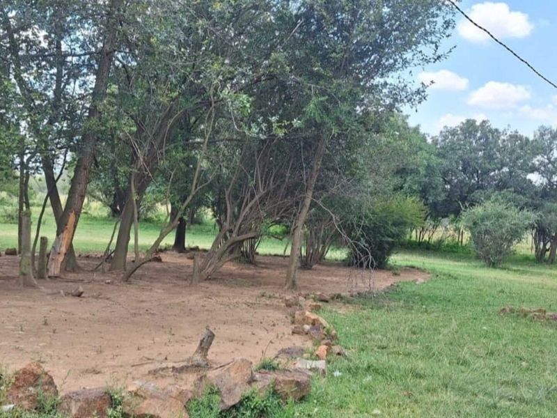 Spacious 4.6 Hectare Smallholding Rental with Modern Open-Plan Living - Photo 7