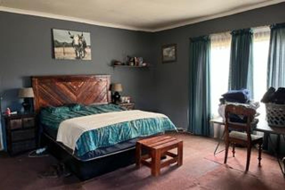 Spacious bedroom featuring dark grey walls, large windows with curtains, and carpeted flooring.