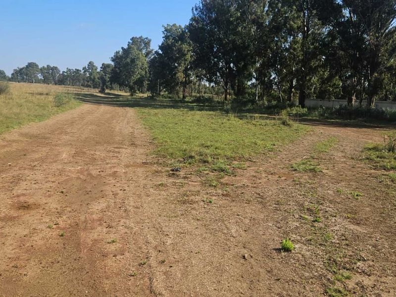 Headline: Prime Stand with Water – Build or Farm Immediately - Photo 1