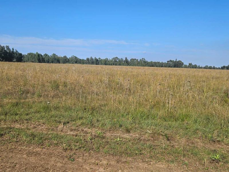 High-Potential Land Investment in Growing Area - Photo 1