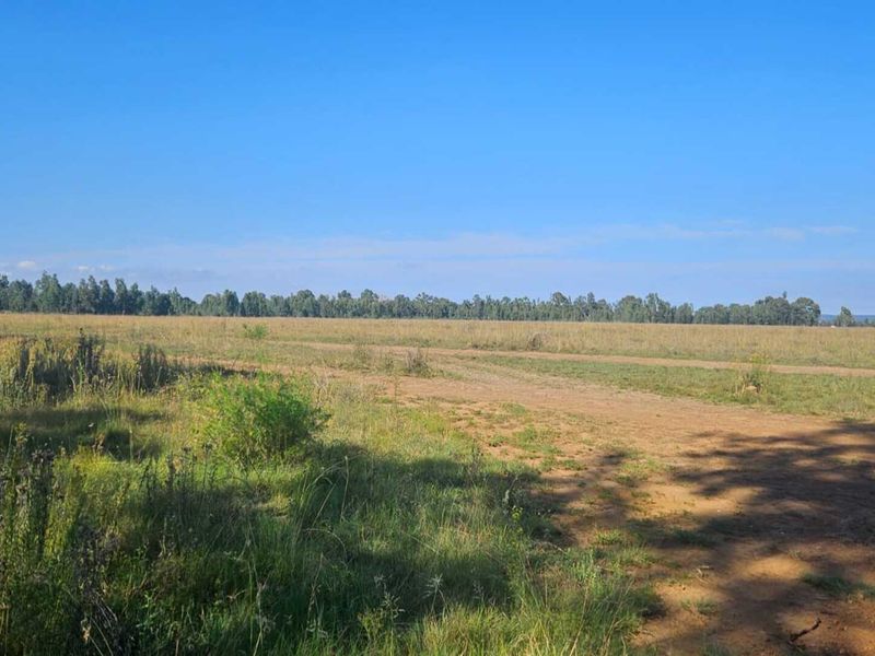Perfect Smallholding Opportunity with Water - Photo 1