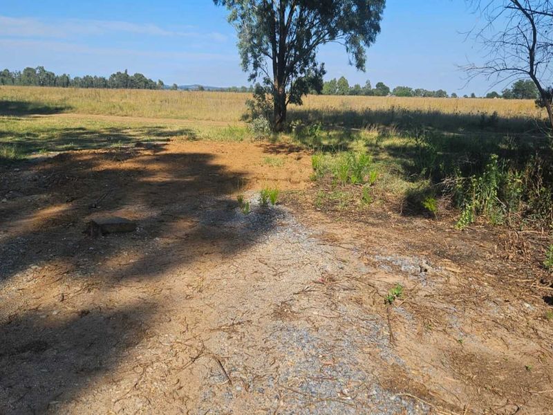 Well-Priced Stand – Don’t Miss This Opportunity - Photo 1