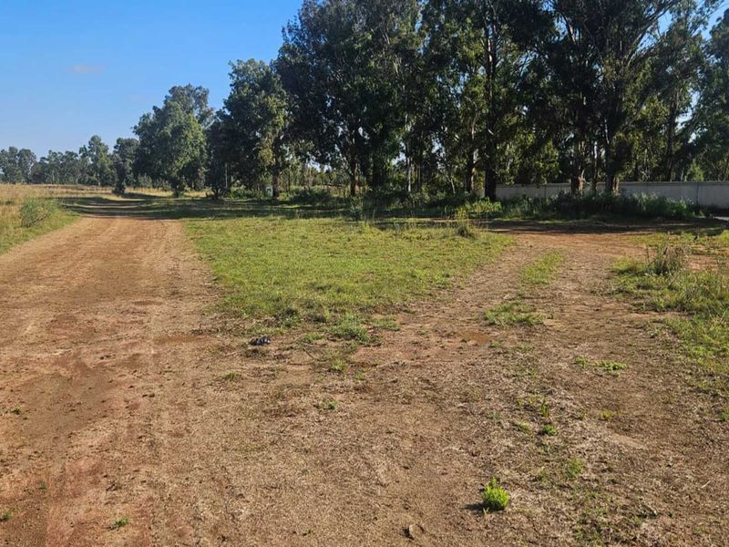 Development Opportunity with Strong Future Value - Photo 1
