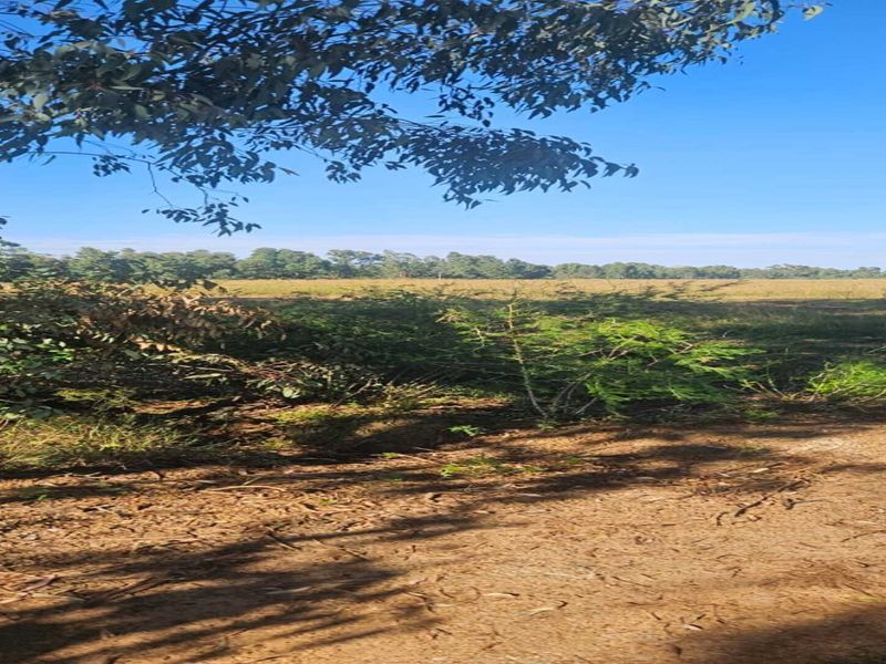 Vacant Stand with Water – Build or Farm - Photo 1