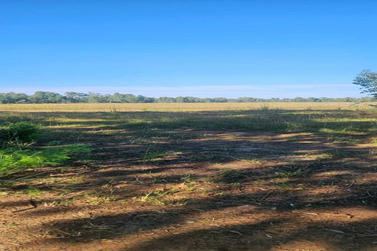 Vacant Stand with Water – Build or Farm - Photo 2