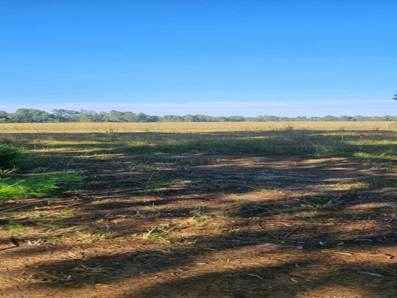 Vacant Stand with Water – Build or Farm - Photo 2