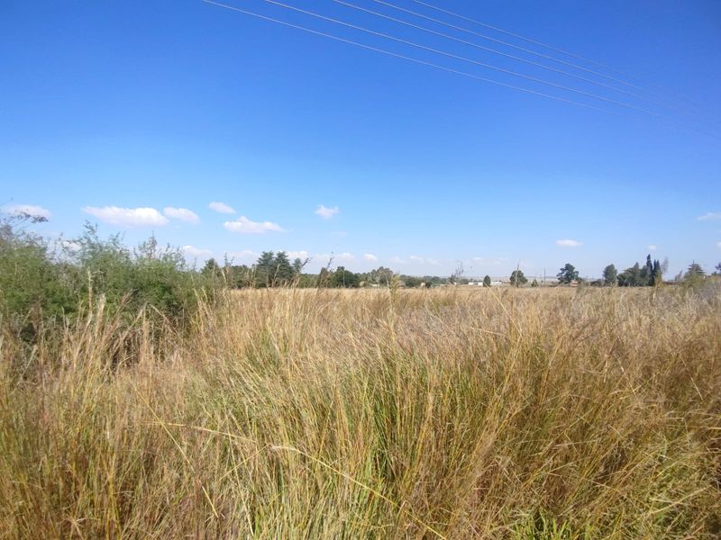 🌅 Prime Vacant Land Near the Vaal Dam – Build Your Dream Escape in Deneysville! - Photo 6
