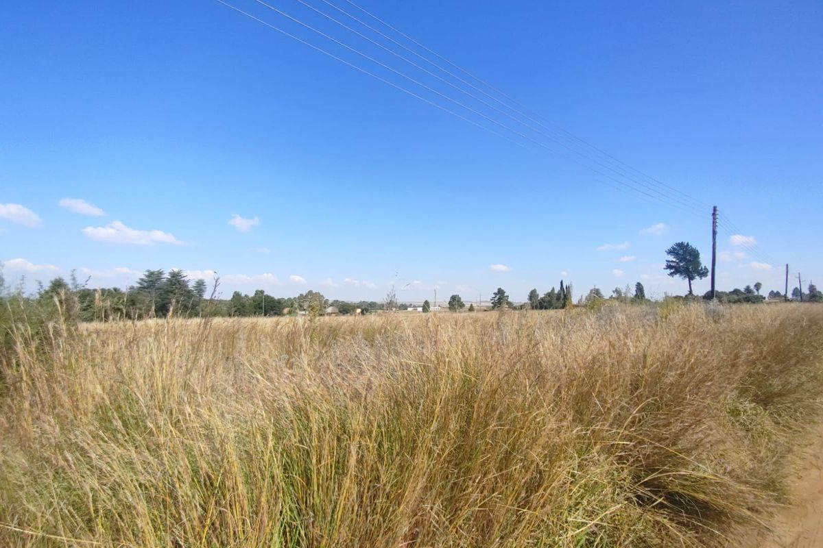 🌅 Prime Vacant Land Near the Vaal Dam – Build Your Dream Escape in Deneysville! - Photo 5
