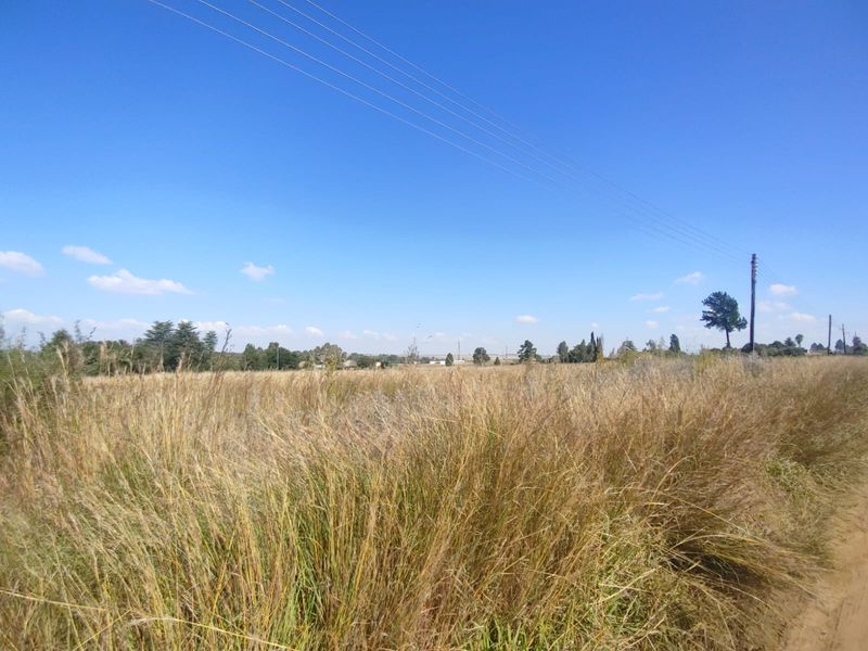 🌅 Prime Vacant Land Near the Vaal Dam – Build Your Dream Escape in Deneysville! - Photo 5