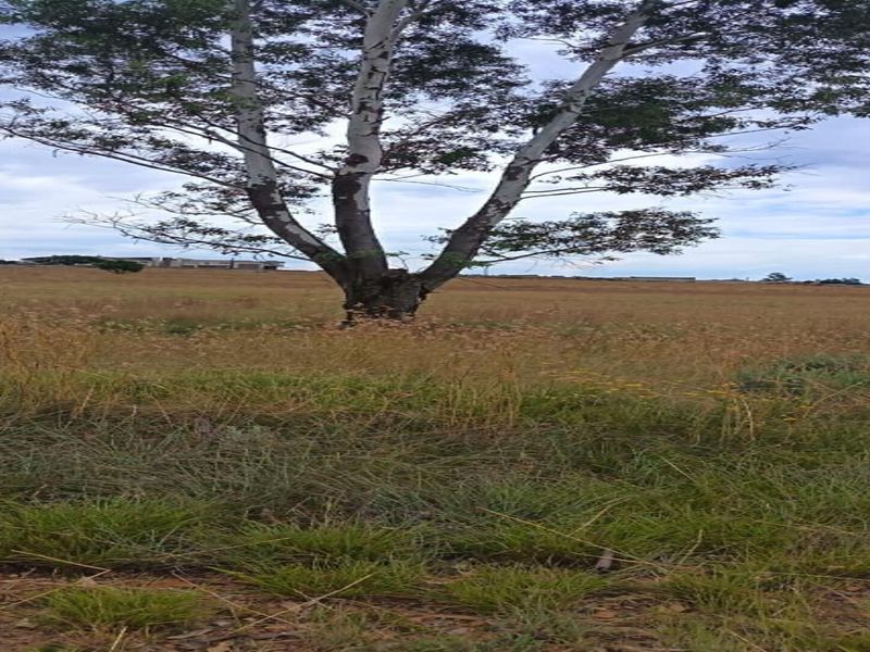 1 Hectare Vacant Stand in Walkerville – Endless Possibilities Await! - Photo 2