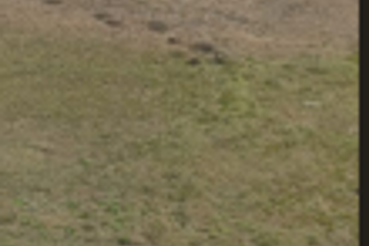vacand land - Photo 2