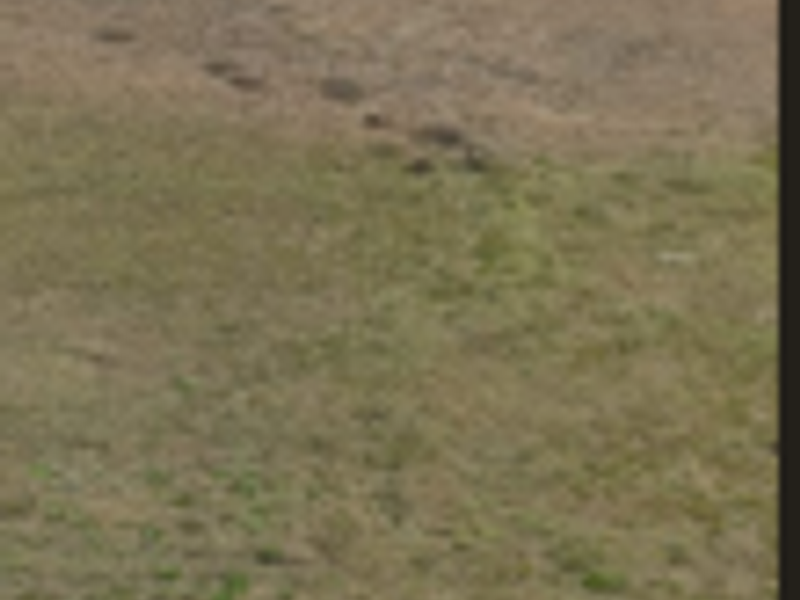 vacand land - Photo 2