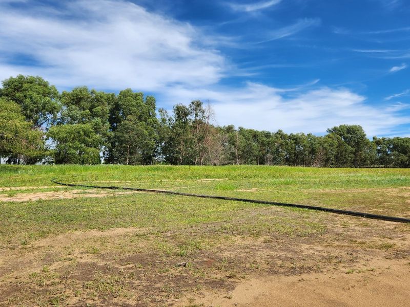 4.7 Hectare Waterfront Vacant Stand with Pecan Nut Orchard14000 - Photo 7