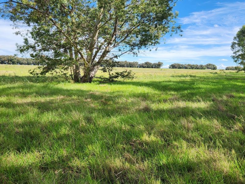 4.7 Hectare Waterfront Vacant Stand with Pecan Nut Orchard14000 - Photo 9
