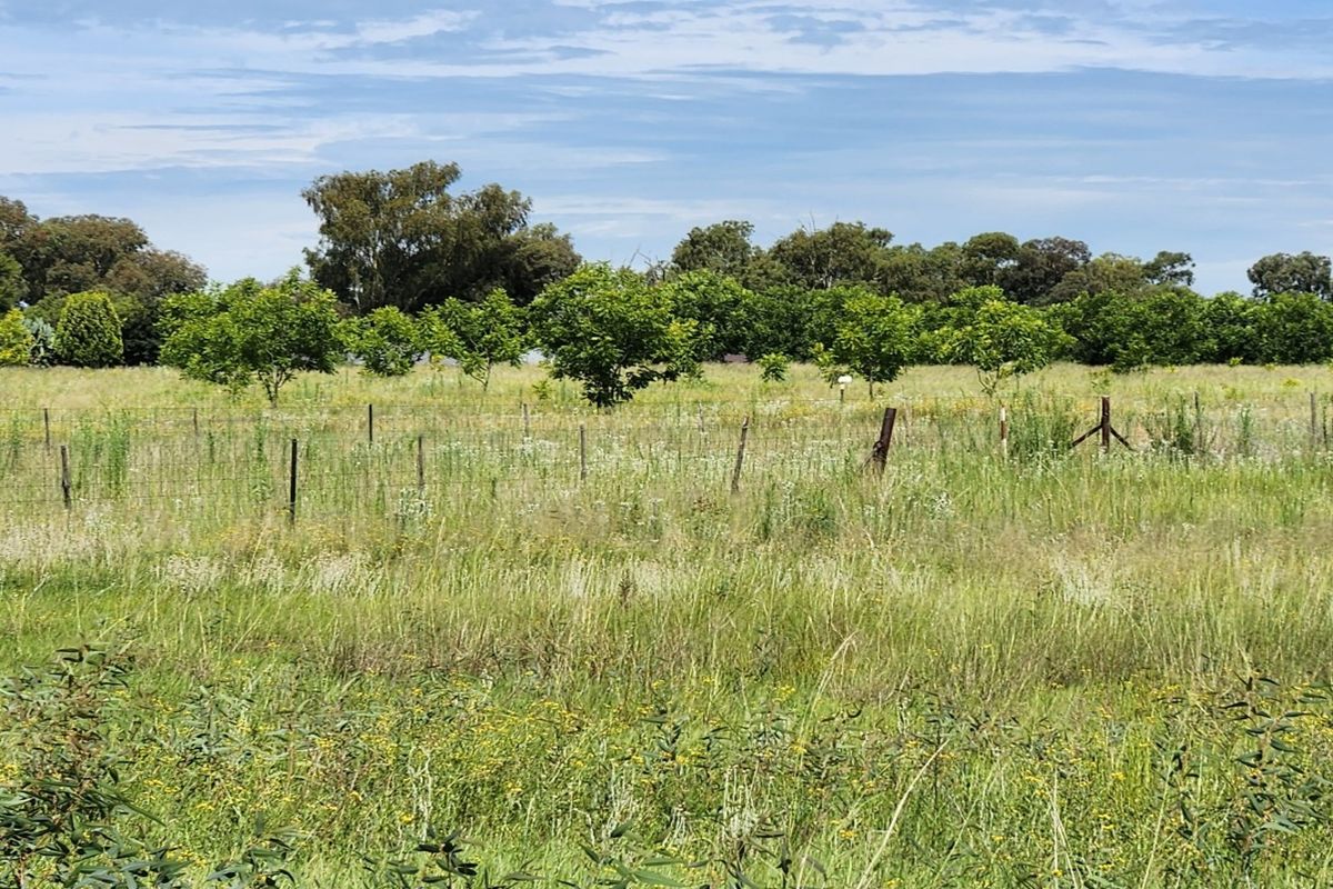 4.7 Hectare Waterfront Vacant Stand with Pecan Nut Orchard14000 - Photo 2