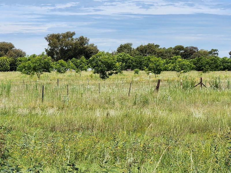 4.7 Hectare Waterfront Vacant Stand with Pecan Nut Orchard14000 - Photo 2