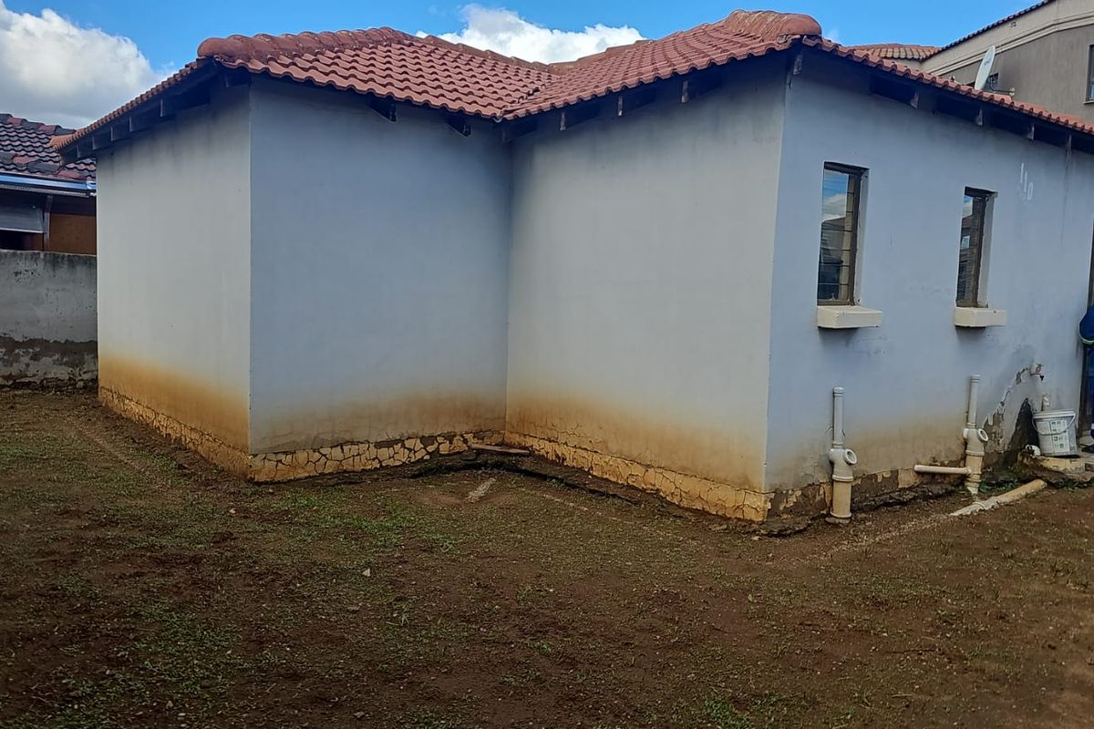 Rear exterior view of the house showing significant rising damp, cracked plaster, and exposed plumbing infrastructure requiring maintenance and repair.