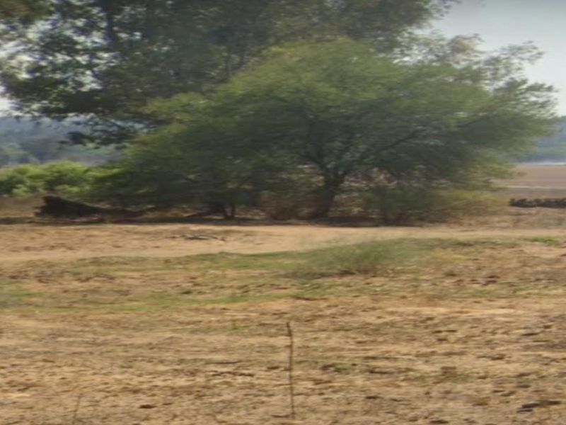 2000 m2 stand in Vaalpark - Photo 10