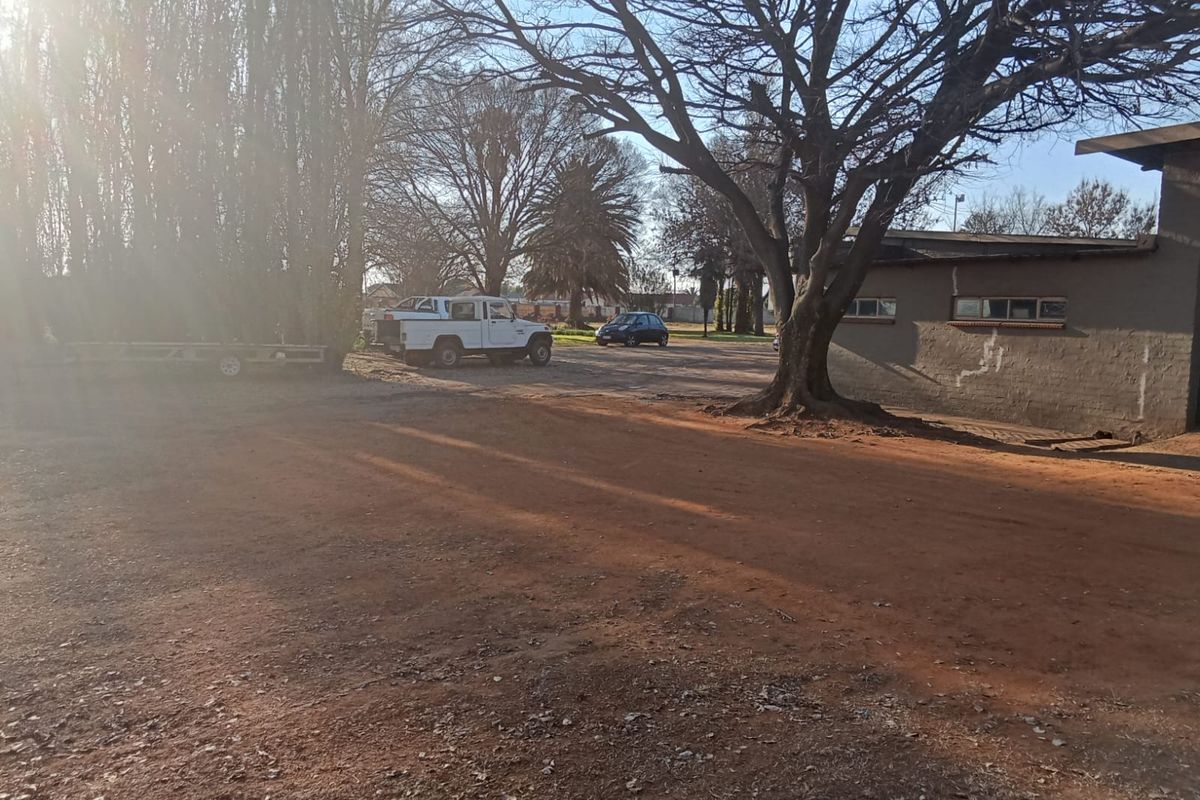 An outdoor view of the property grounds featuring a large mature tree, unpaved driveway area, and the side elevation of the main building structure.