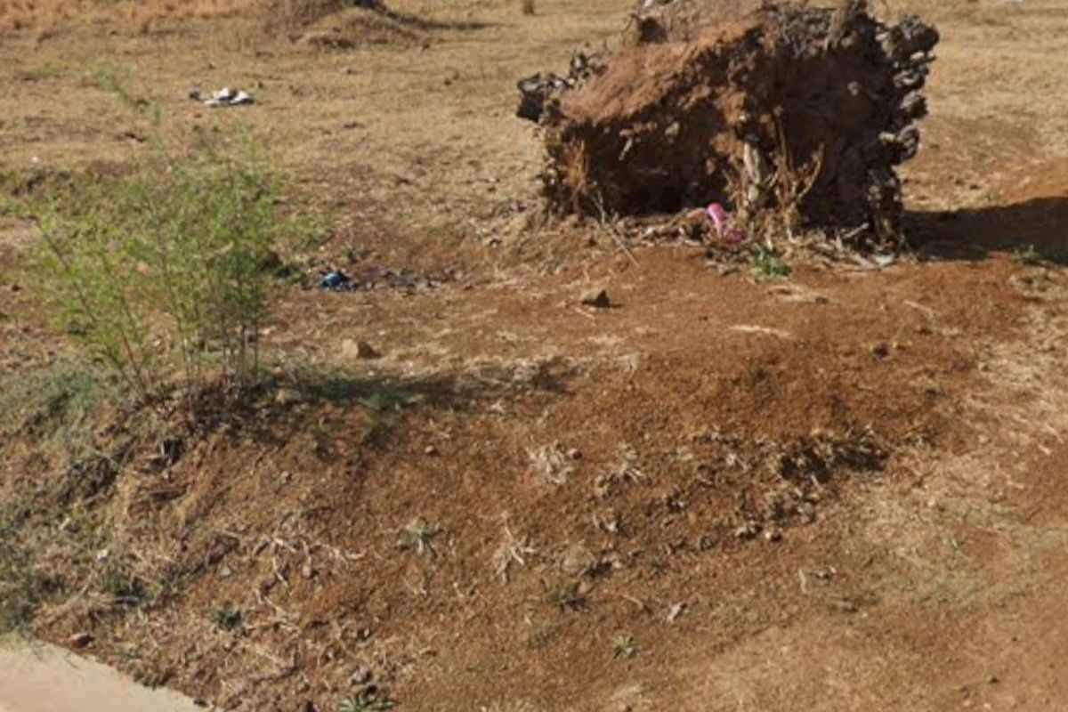 A vacant residential plot featuring a concrete boundary wall, paved curb, and existing tree stumps on the land.