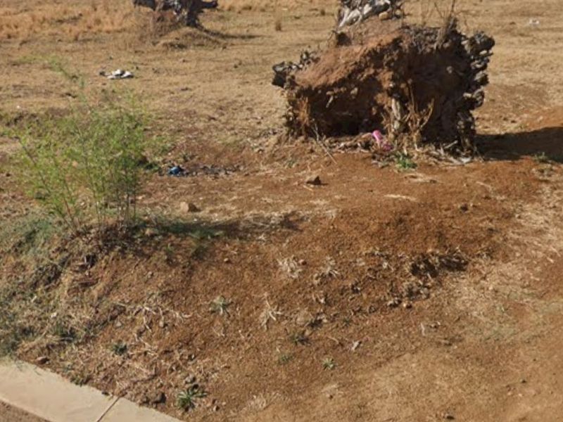 A vacant residential plot featuring a concrete boundary wall, paved curb, and existing tree stumps on the land.