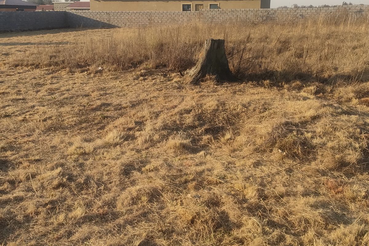 A vacant residential plot featuring dry grass, a tree stump, and a perimeter boundary wall.