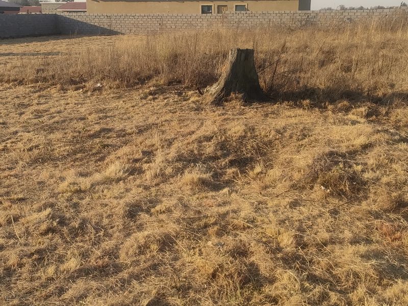 A vacant residential plot featuring dry grass, a tree stump, and a perimeter boundary wall.