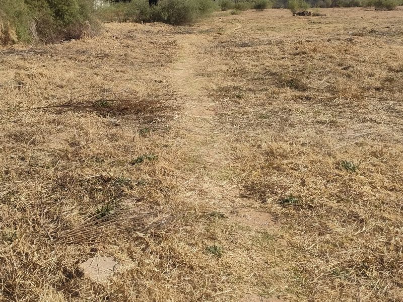 A view of the vacant residential land featuring dry grass and a boundary wall along the edge of the property.