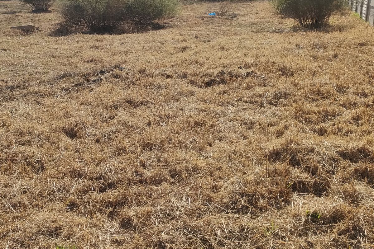 A view of a vacant residential plot featuring dry grass, sparse shrubs, and a precast concrete boundary wall.