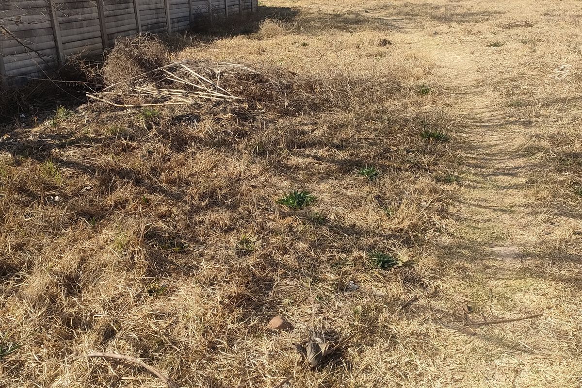 A view of a vacant residential plot featuring dry, overgrown grass and a precast concrete boundary wall.