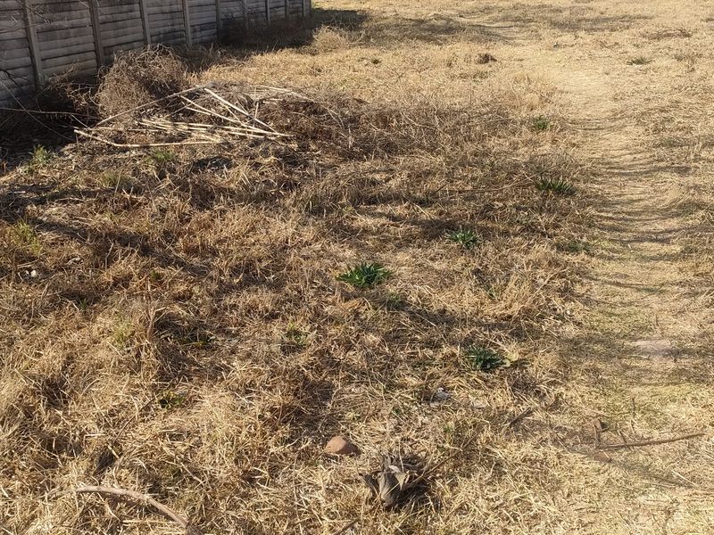 A view of a vacant residential plot featuring dry, overgrown grass and a precast concrete boundary wall.