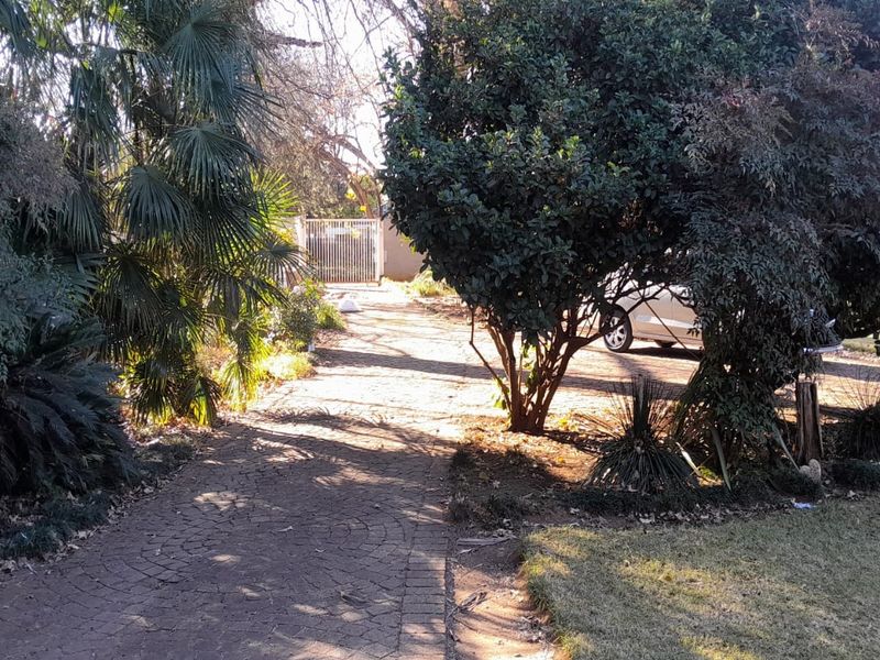 A paved driveway leading to a secure metal gate, surrounded by established trees and garden landscaping.