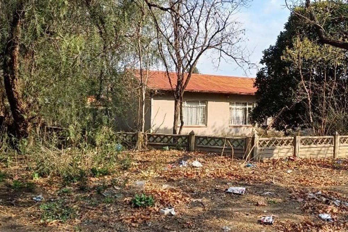 Rear view of a residential property featuring a corrugated metal roof, steel windows, and a precast concrete boundary wall set within an overgrown garden.