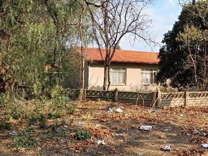 Rear view of a residential property featuring a corrugated metal roof, steel windows, and a precast concrete boundary wall set within an overgrown garden.