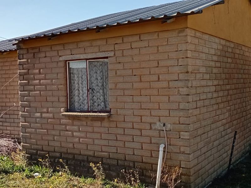 A view of the rear exterior of a modest brick house featuring a corrugated metal roof and steel window frames.