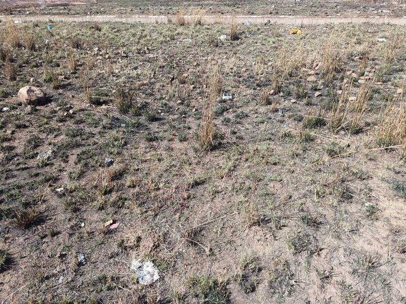 A view of an undeveloped residential plot featuring natural dry grass and uneven terrain.