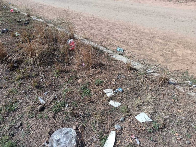 A view of the roadside verge adjacent to the vacant residential land, showing unmaintained ground and scattered debris.