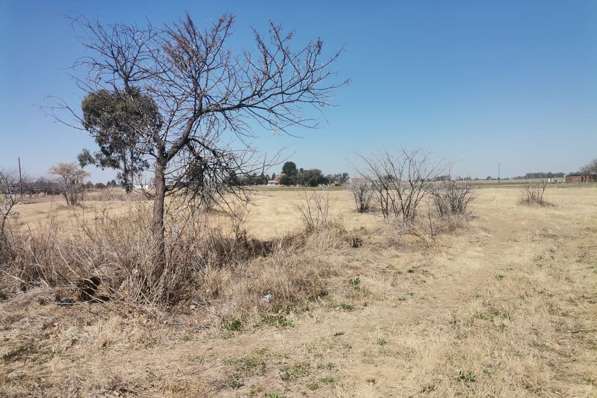A view of a vacant residential plot featuring dry grass and scattered native trees under a clear blue sky.