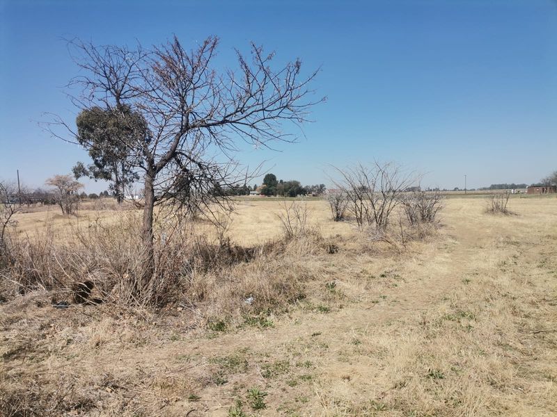 A view of a vacant residential plot featuring dry grass and scattered native trees under a clear blue sky.