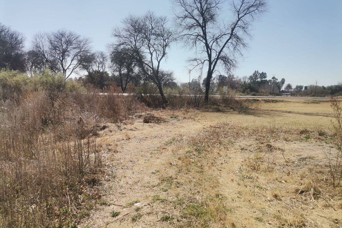 A view of the vacant residential land featuring natural grassland and mature trees, offering a blank canvas for future development.