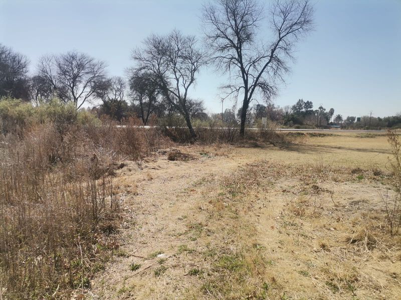 A view of the vacant residential land featuring natural grassland and mature trees, offering a blank canvas for future development.