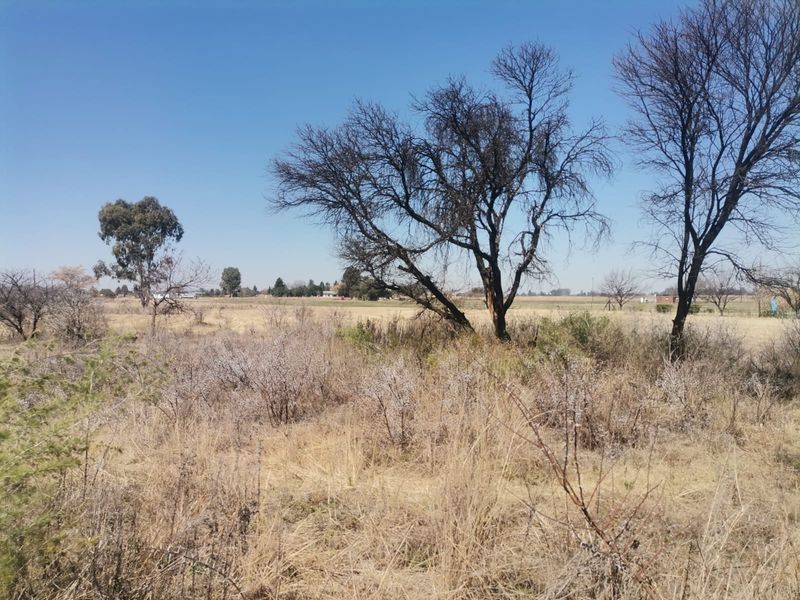 A view of the vacant residential land featuring natural vegetation and mature trees under a clear blue sky.