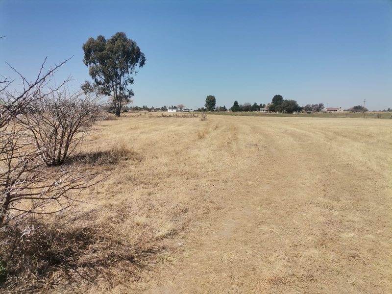 A wide-angle view of a vacant residential plot featuring dry grass and mature trees under a clear blue sky.