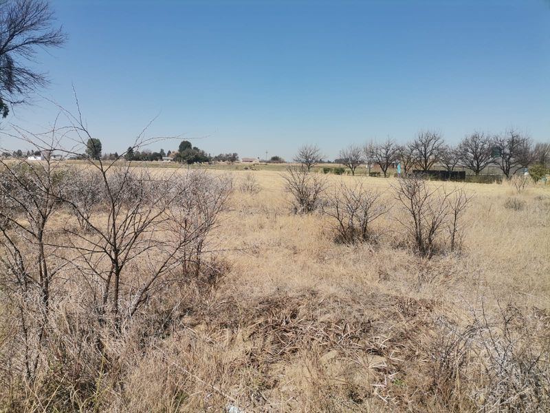 A view of a vacant residential plot featuring natural dry vegetation and open land, suitable for future development.