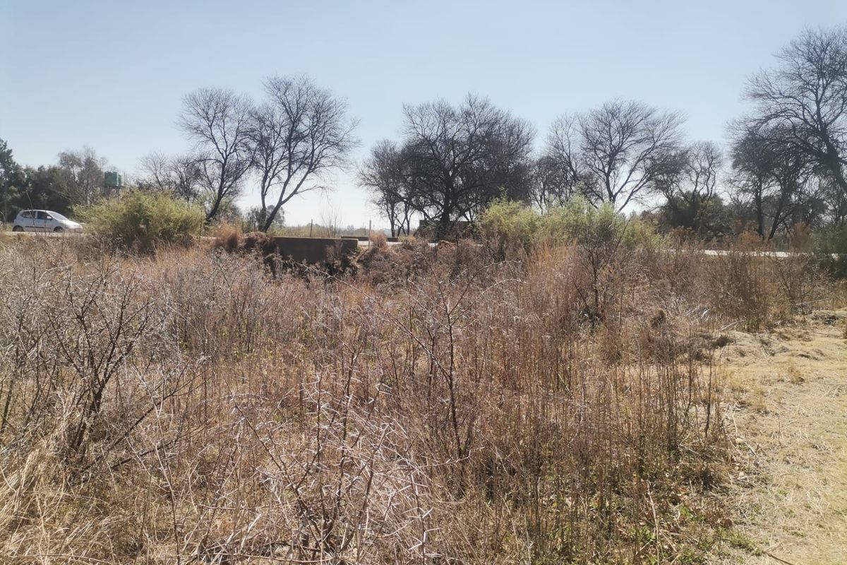 A view of an undeveloped residential plot featuring native dry vegetation and shrubs, with a road visible in the background.