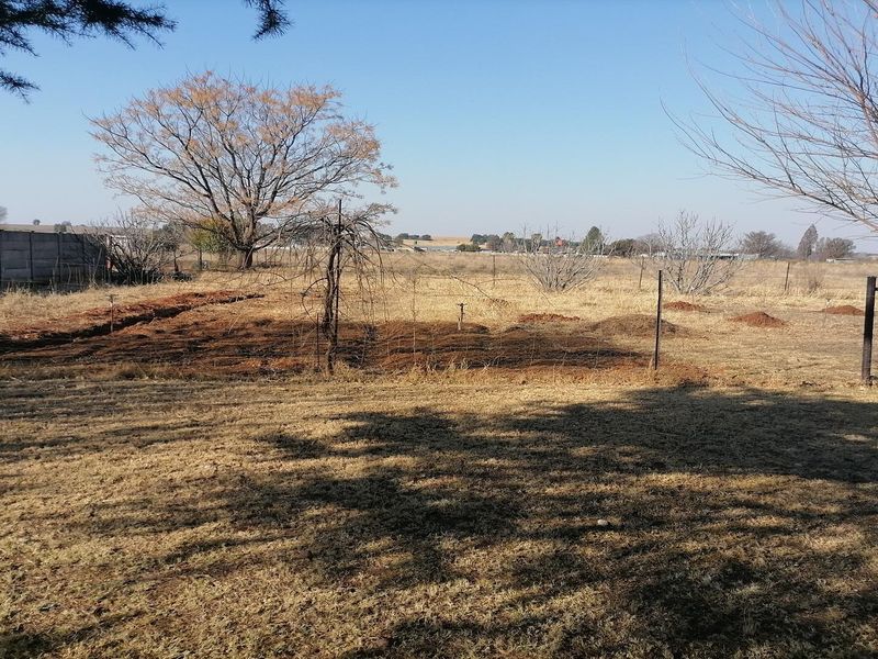 Country Living at its Best!! - Photo 8