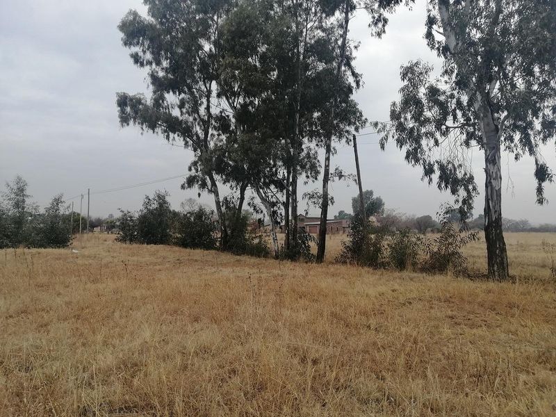 Vacant Land - Choose your plan - Photo 8