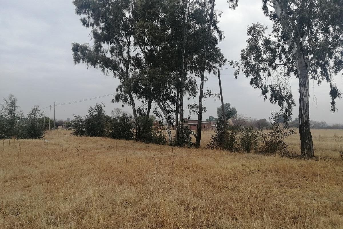 Vacant Land - Choose your plan - Photo 3