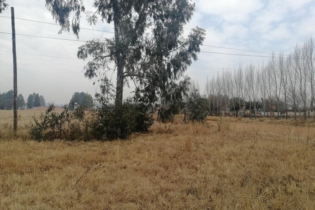 Vacant Land - Choose your plan - Photo 4