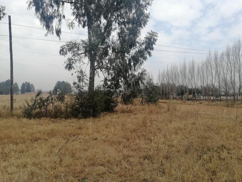 Vacant Land - Choose your plan - Photo 10